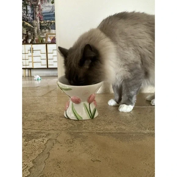 Mellow & Mod Cat Drinking Water Tall Bowl "Pink tulips" Hand Painted Colorful - Picture 9 of 10